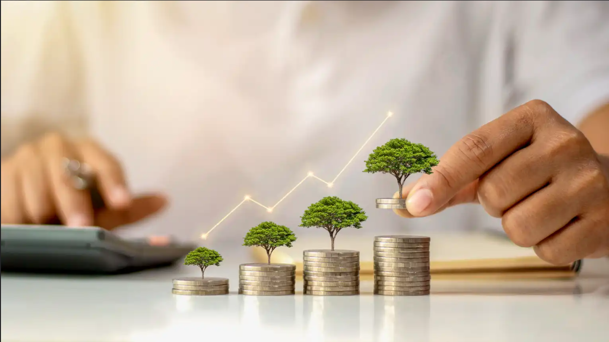 Wealth & Finance
